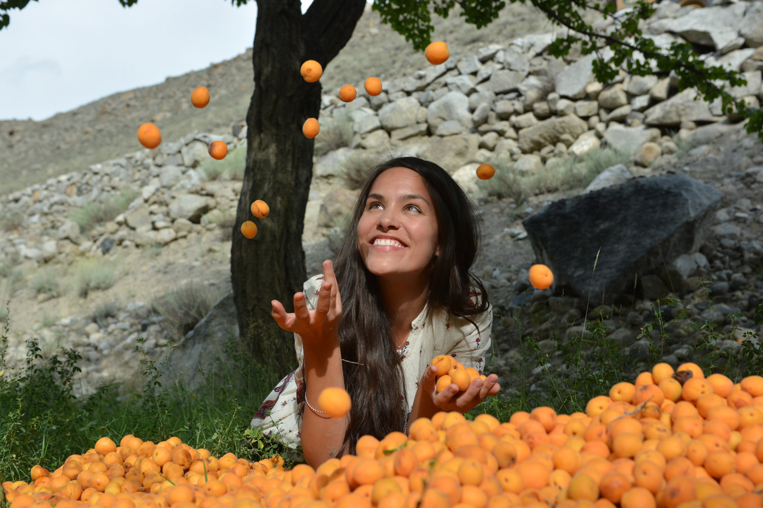 appricots-in-hunza