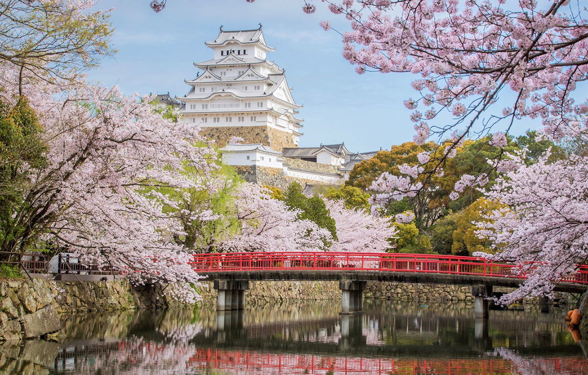 Ngỡ ngàng ngắm lâu đài Osaka hóa xứ thần tiên mùa anh đào nở | BLUE SKY  TRAVEL